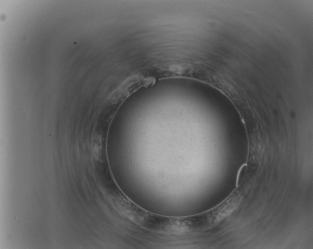 X0000062880656200601171449