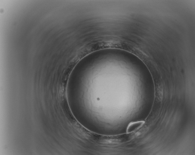 X0000062880657200601171449