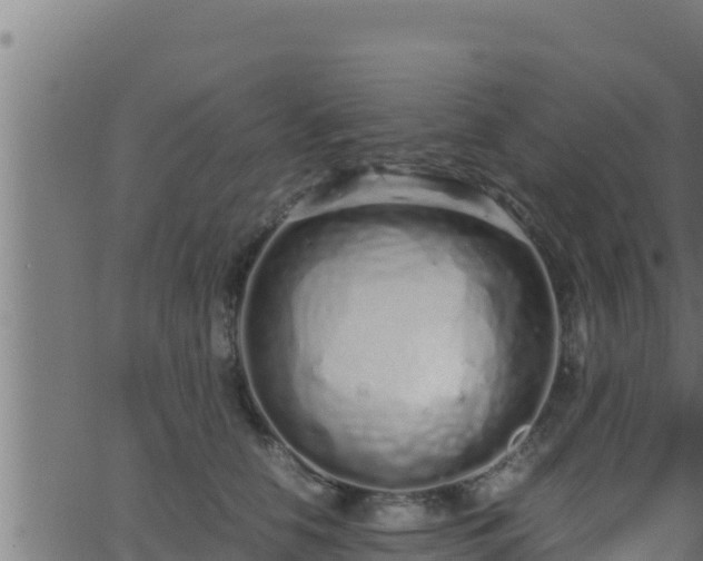 X0000062880658200601171449