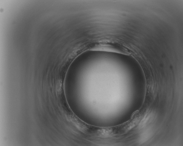 X0000062880660200601171449