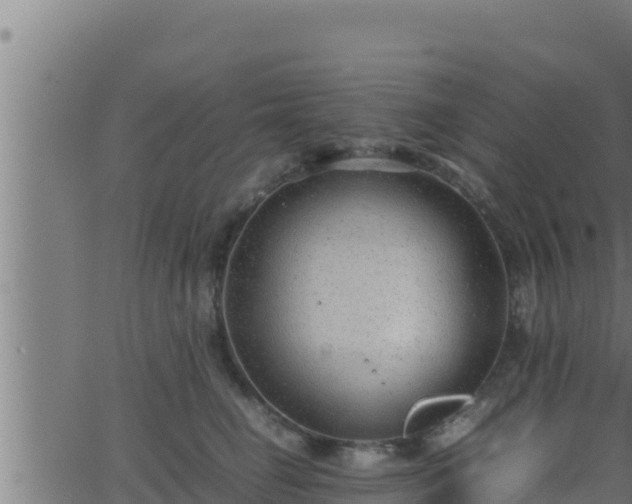 X0000062880662200601171449