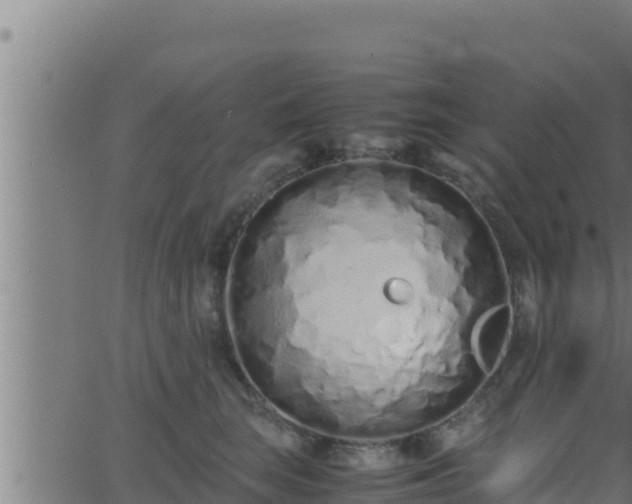 X0000062880663200601171449