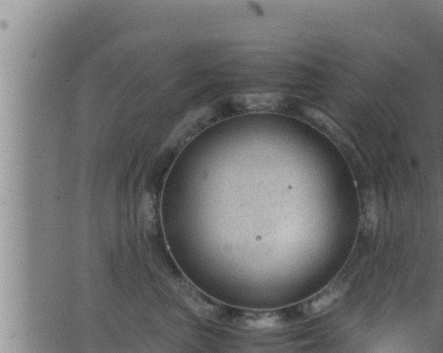 X0000062880667200601171449