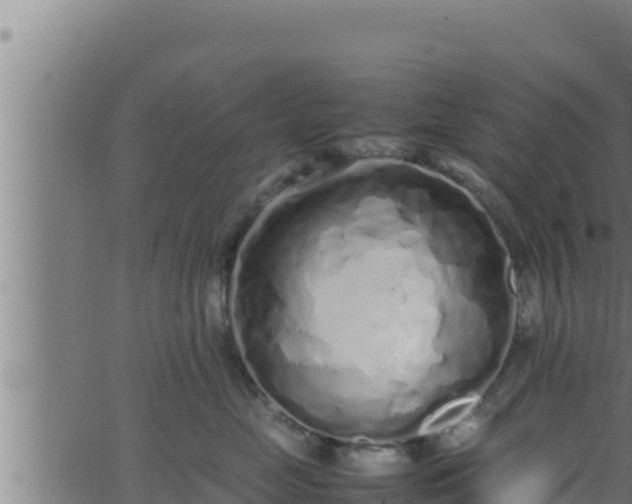 X0000062880669200601171449