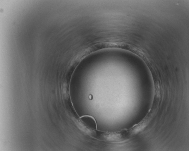 X0000062880670200601171449