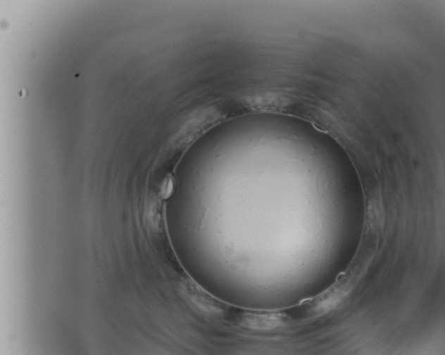 X0000062880671200601171449