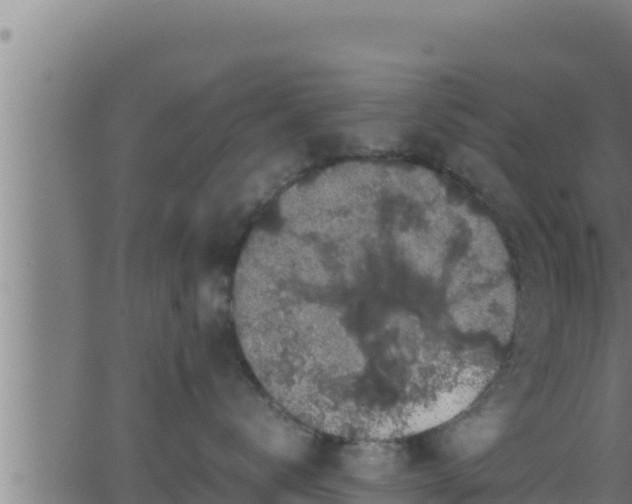 X0000062880672200601171449