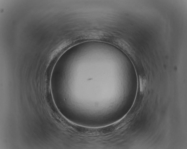 X0000062880675200601171448