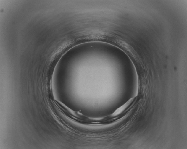 X0000062880677200601171448