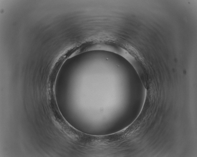 X0000062880680200601171448