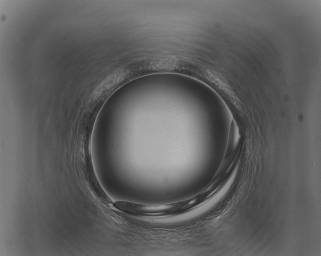X0000062880681200601171448