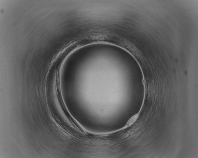 X0000062880722200601171446