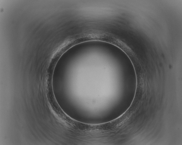 X0000062880730200601171447
