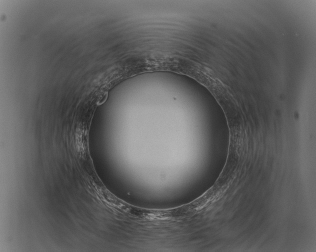 X0000062880770200601171446