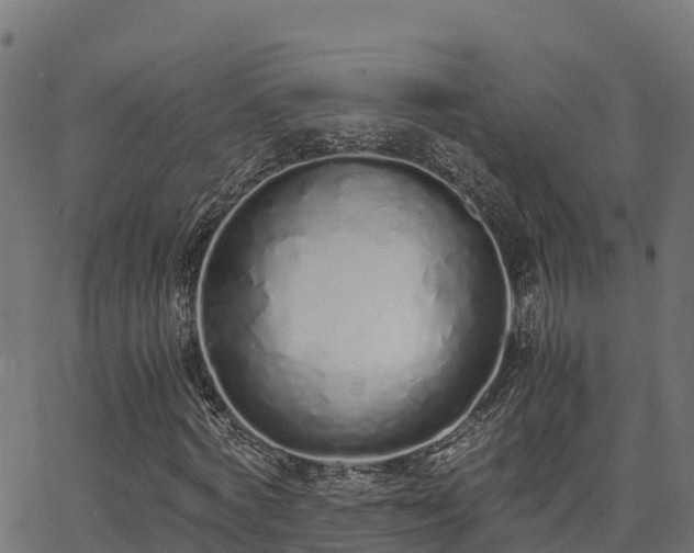 X0000062880772200601171446