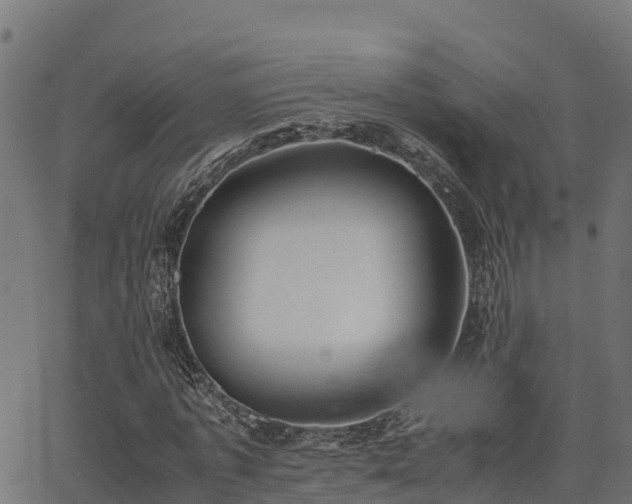 X0000062880773200601171446