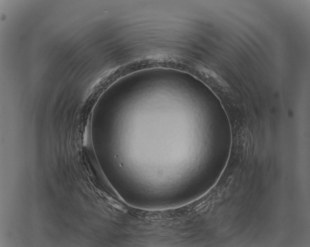 X0000062880776200601171446