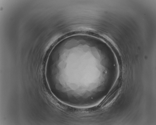 X0000062880783200601171446