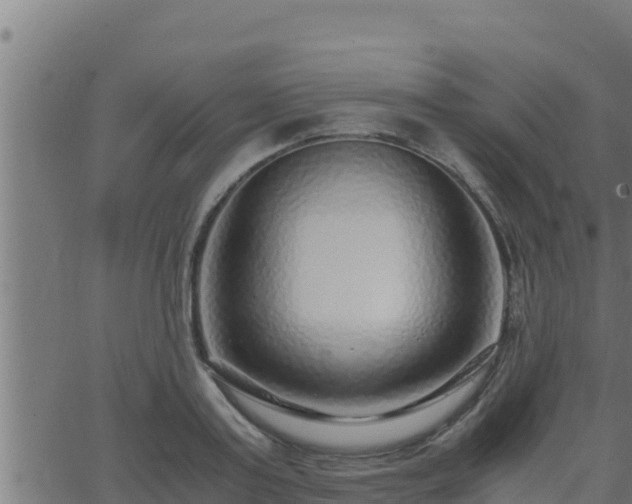 X0000062880795200601171446