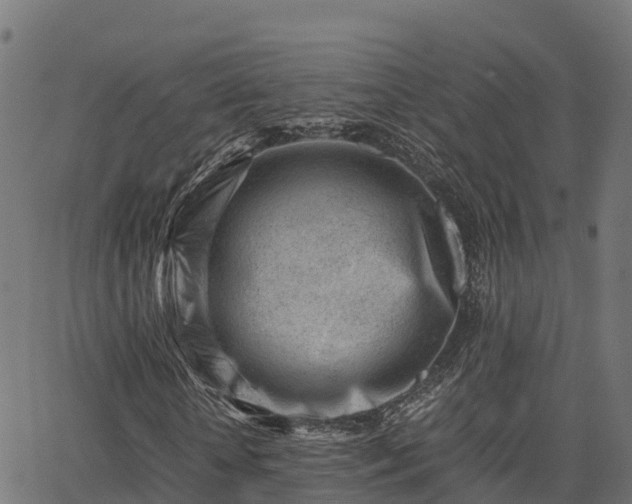 X0000062880818200601171445