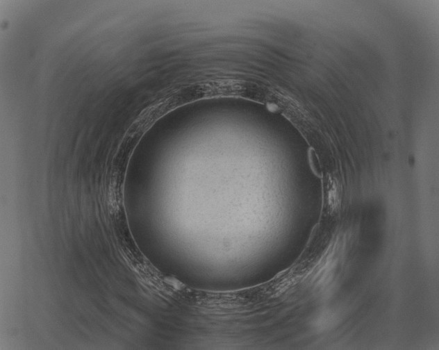 X0000062880819200601171445