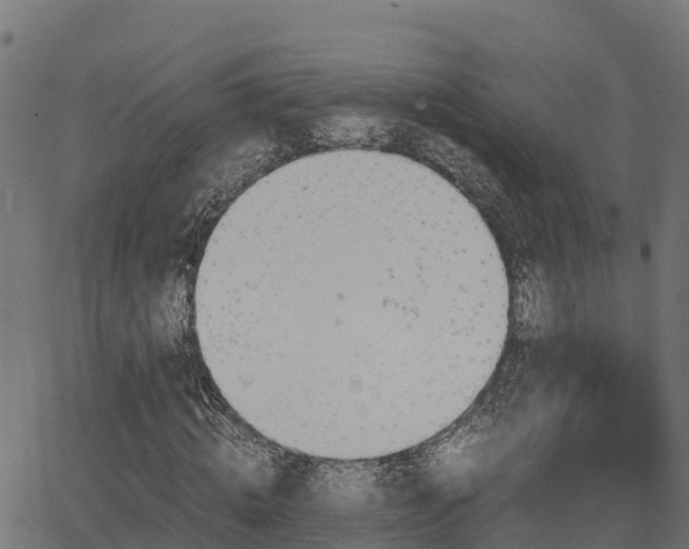 X0000062880820200601171445