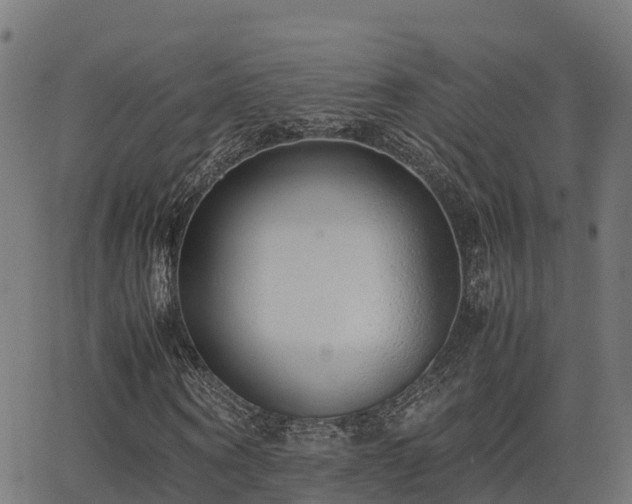 X0000062880866200601171445