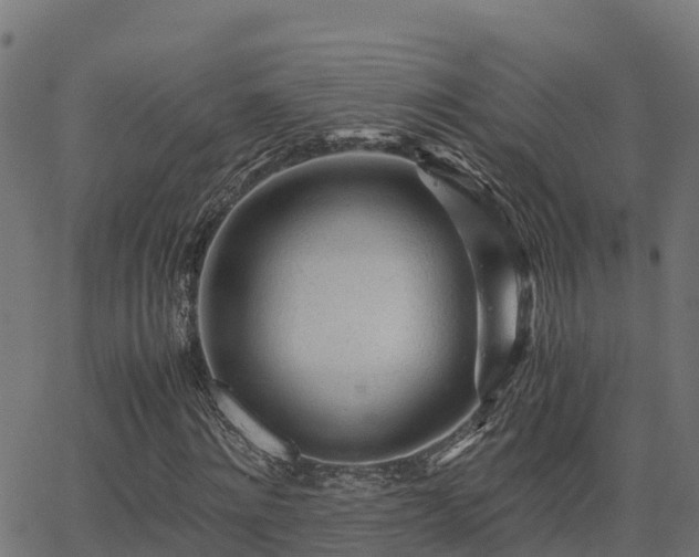 X0000062880868200601171445