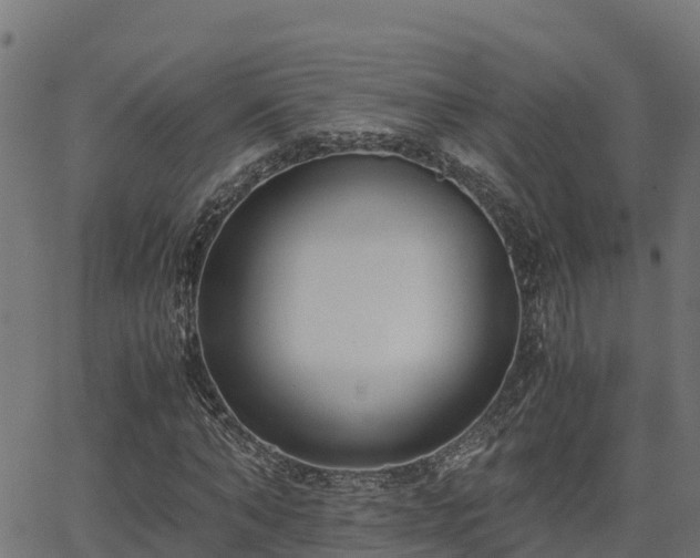 X0000062880870200601171445