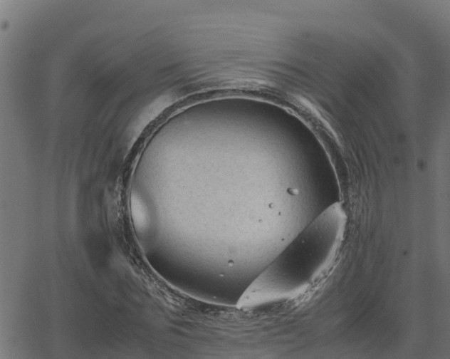 X0000062880875200601171445