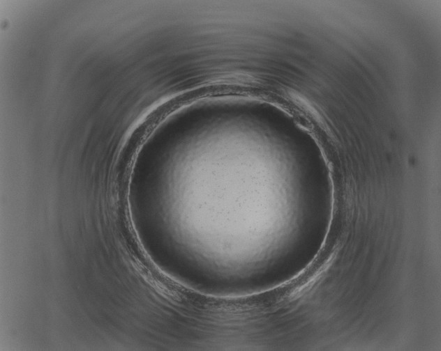 X0000062880923200601171443