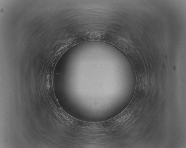 X0000062880962200601171443