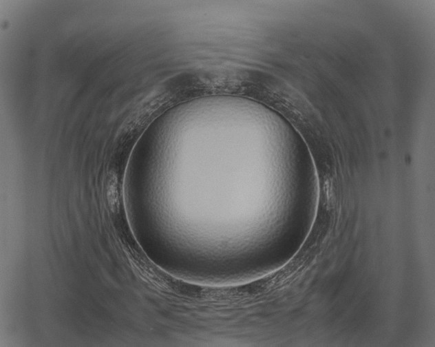 X0000062880963200601171443