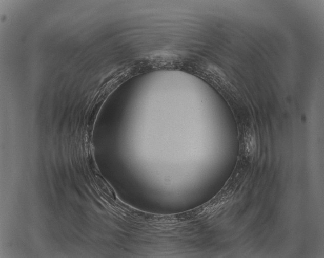 X0000062880964200601171443
