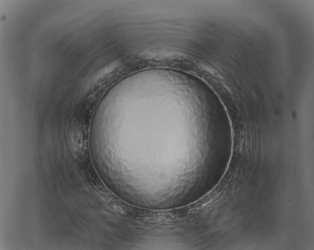 X0000062880966200601171443