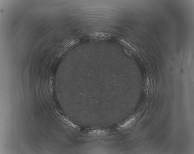 X0000062881010200601171442