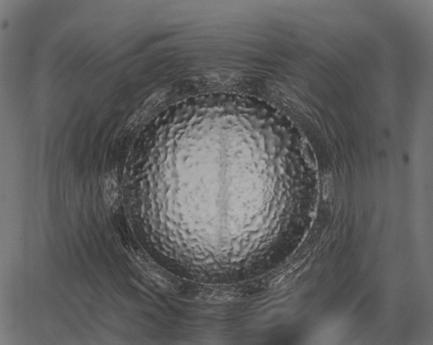 X0000062881011200601171442