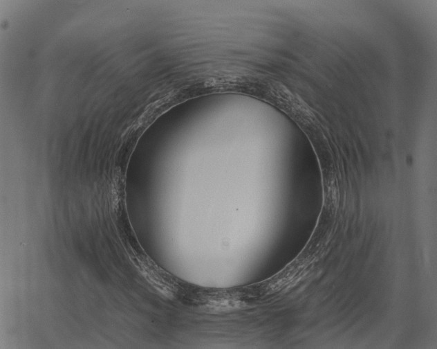 X0000062881012200601171442