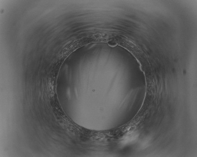 X0000062881013200601171442