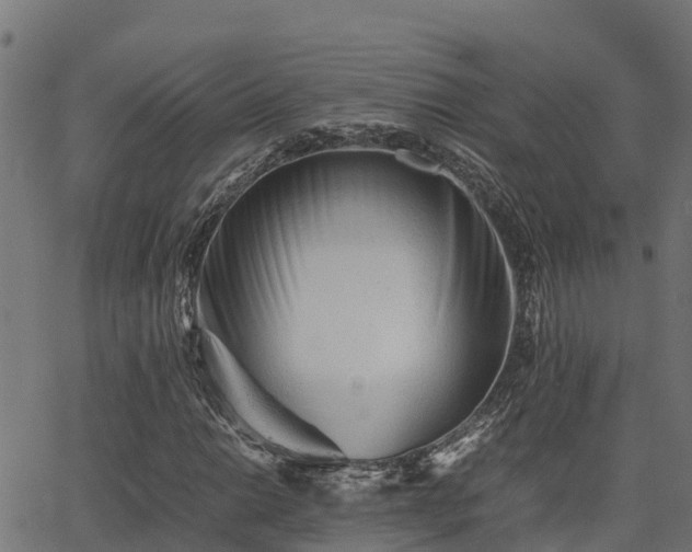 X0000062881014200601171442