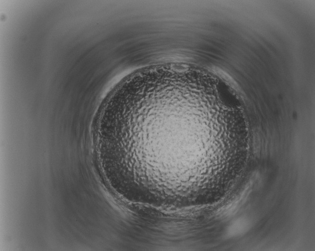 X0000062881031200601171442