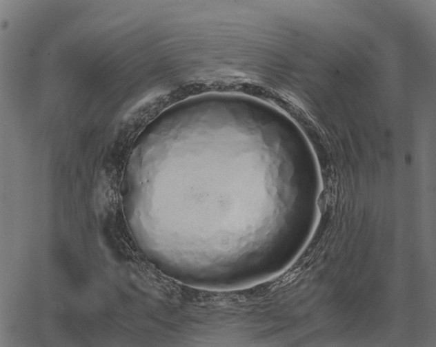 X0000062881063200601171441