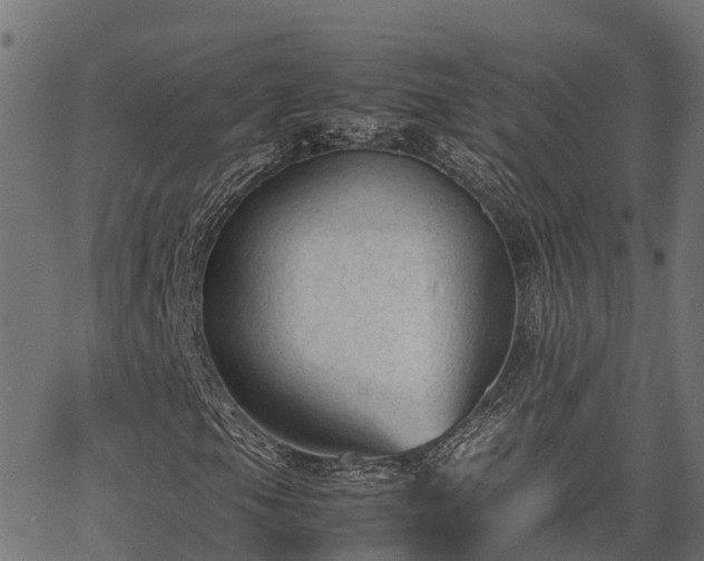 X0000062881105200601171440