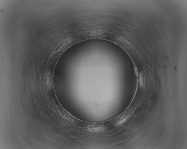 X0000062881107200601171440