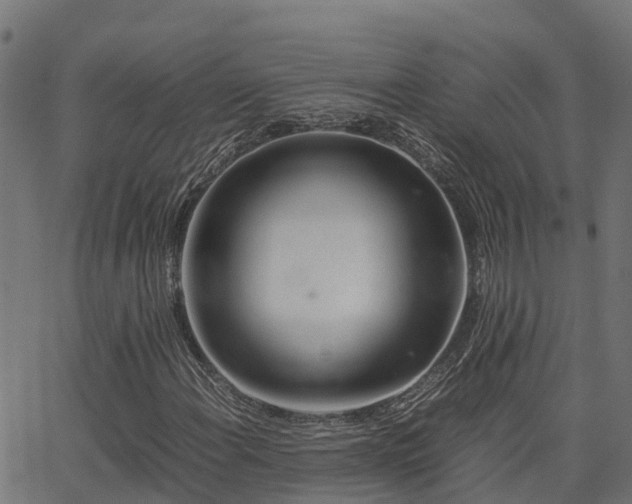 X0000062881108200601171440