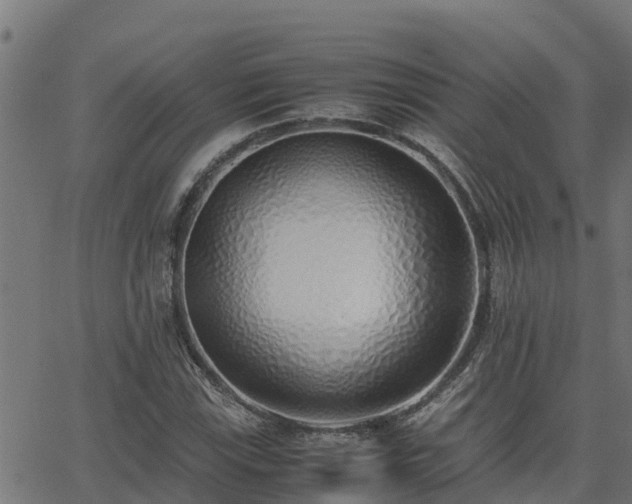 X0000062881115200601171440