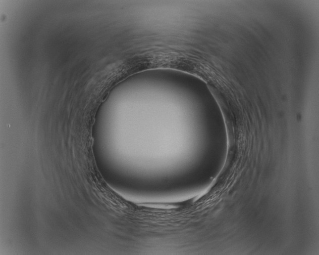 X0000062881153200601171440