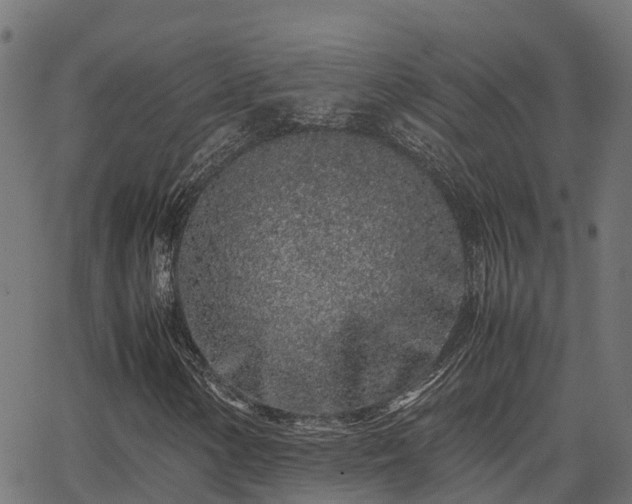 X0000062881154200601171440