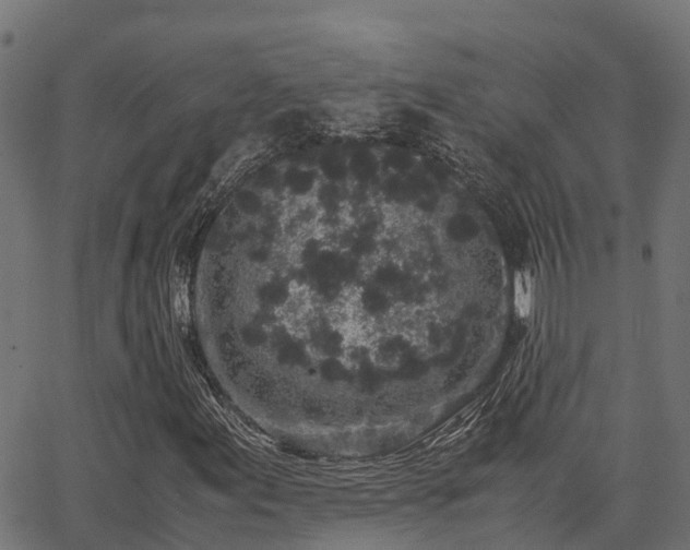 X0000062881155200601171440
