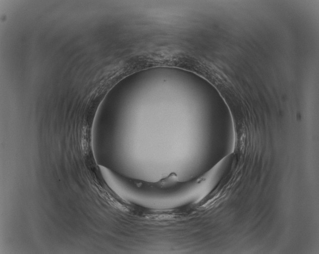 X0000062881156200601171440